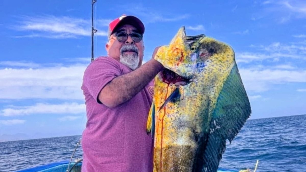 Bull dorado on a fishing charter in Loreto