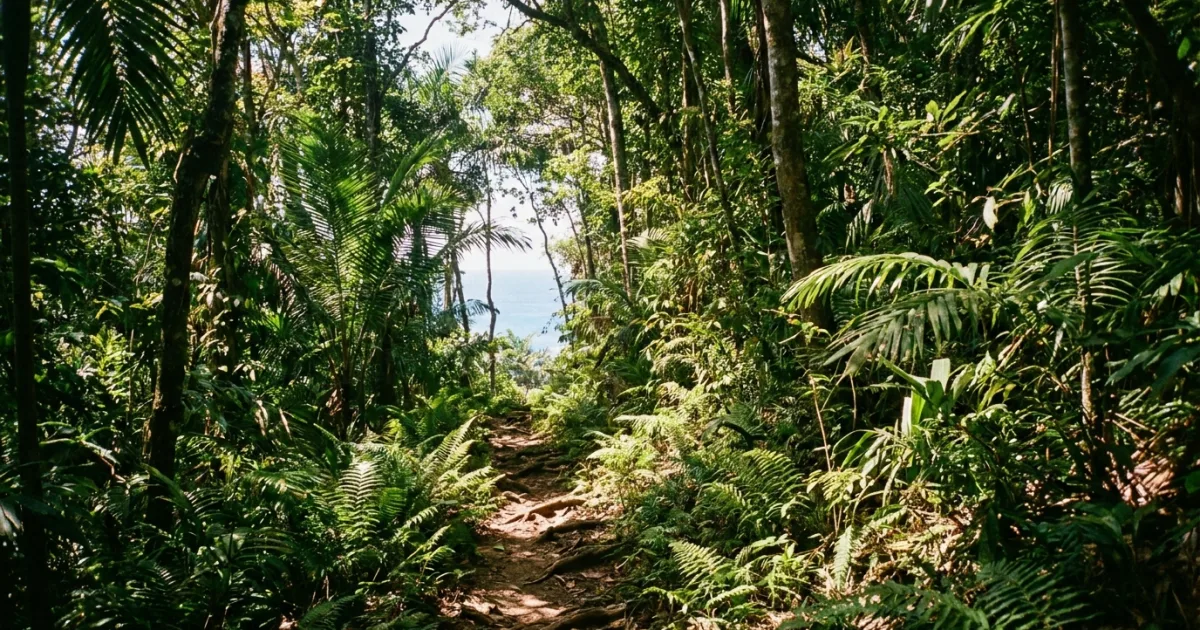 Top 10 Hiking Trails in Puerto Vallarta