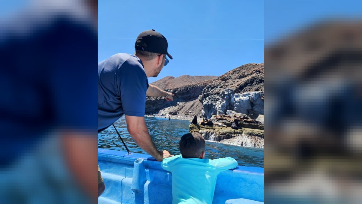 Father and son leaning over the side of the Loreto Star to watch sea lions on the rocks of Isla Coronado before snorkeling