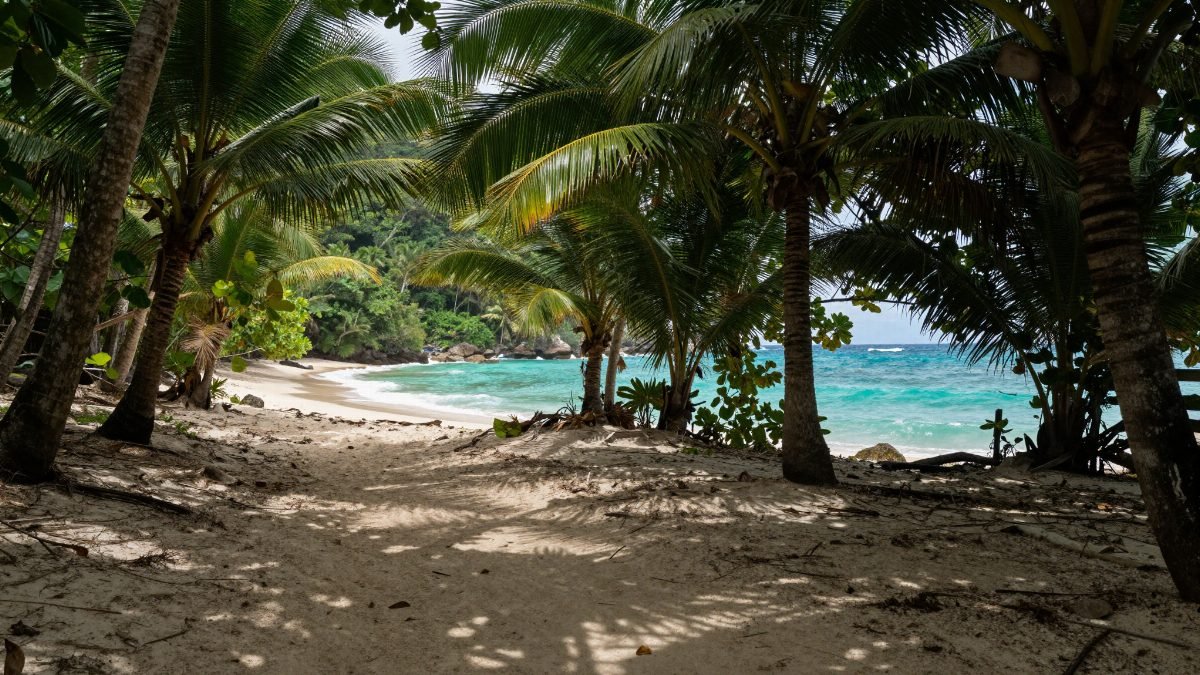 Private Surf Lesson at Playa La Lancha · Surf Lessons in Puerto Vallarta — Vallarta Surf